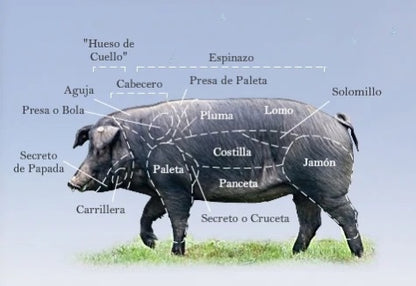 Presa Iberica de Bellota Pork Shoulder by Fermin